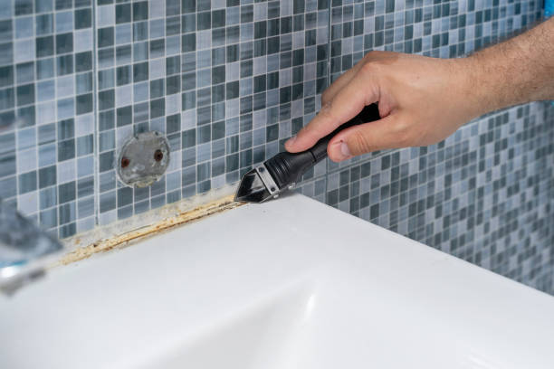Best Basement Mold Remediation in Miami Shores, FL